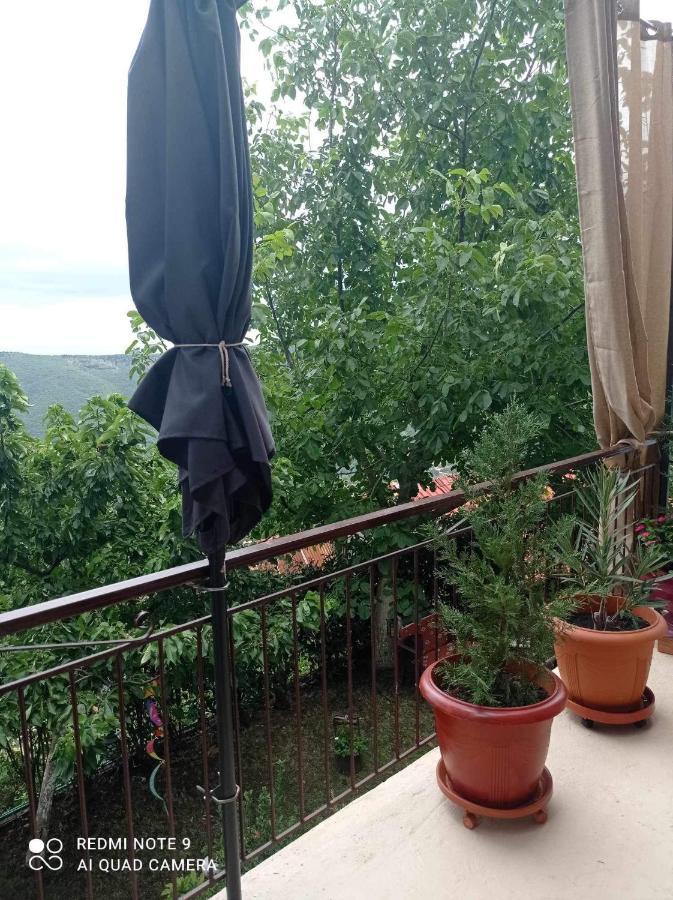 Άγρια Λούλουδα Κατοικία Αρμονία Timfristos Екстериор снимка