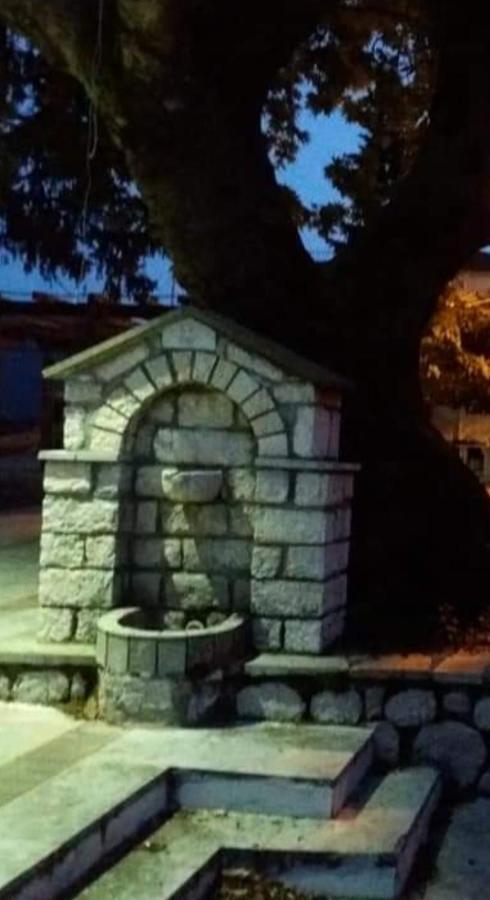 Άγρια Λούλουδα Κατοικία Αρμονία Timfristos Екстериор снимка